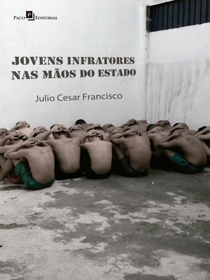 cover image of Jovens infratores nas mãos do Estado